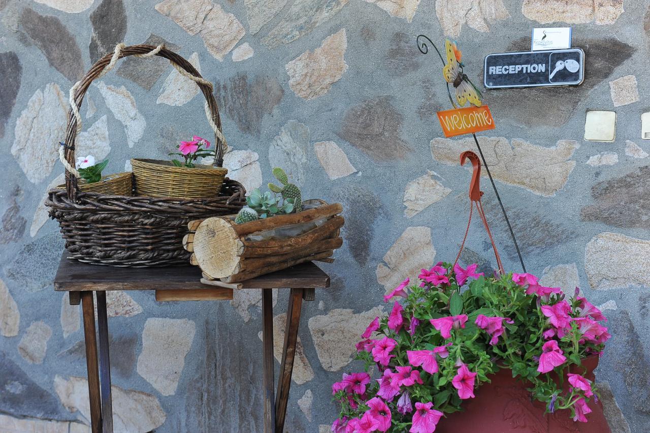 Guesthouse Kerkinitis Lithótopos Екстериор снимка